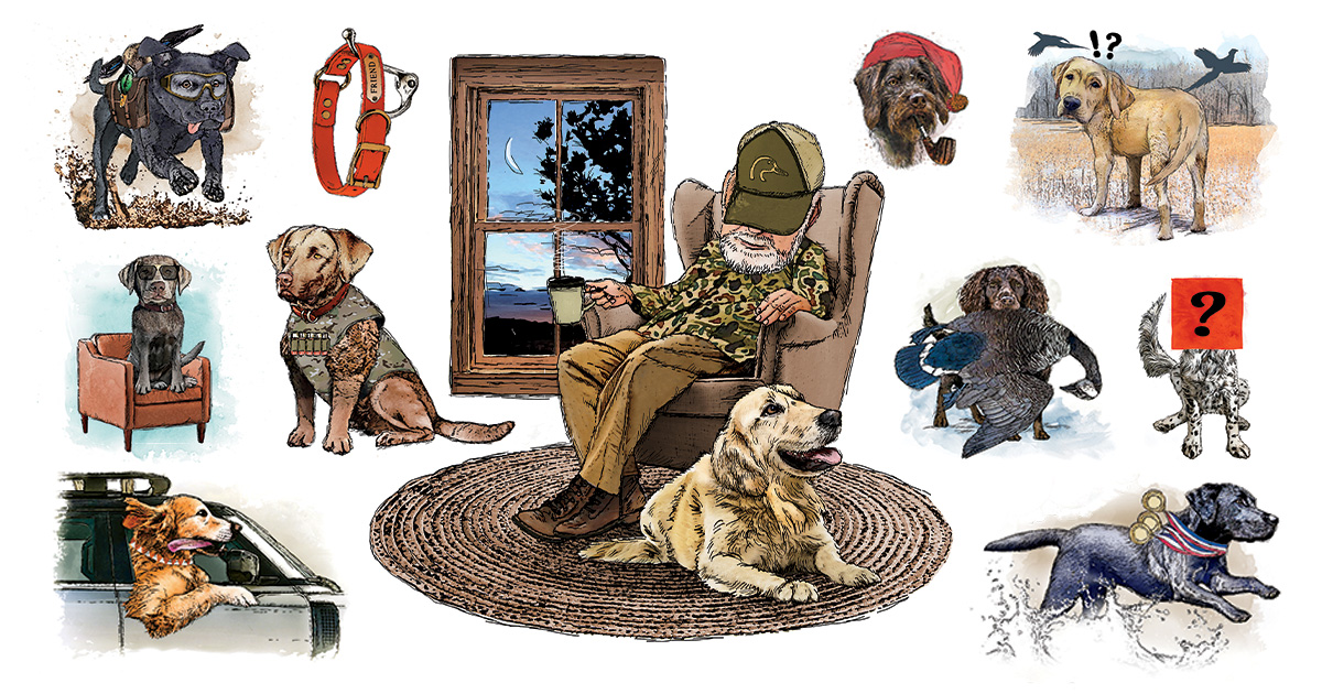 Canine cast covers hot sale